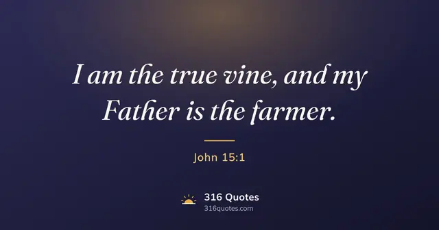 John 15:1 Bible verse image: I Am The True Vine